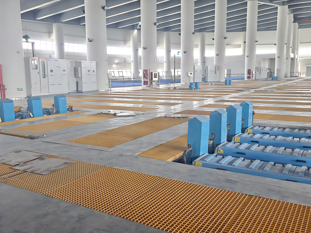 长江口中华鲟自然?；で? 中华鲟 - 淡水