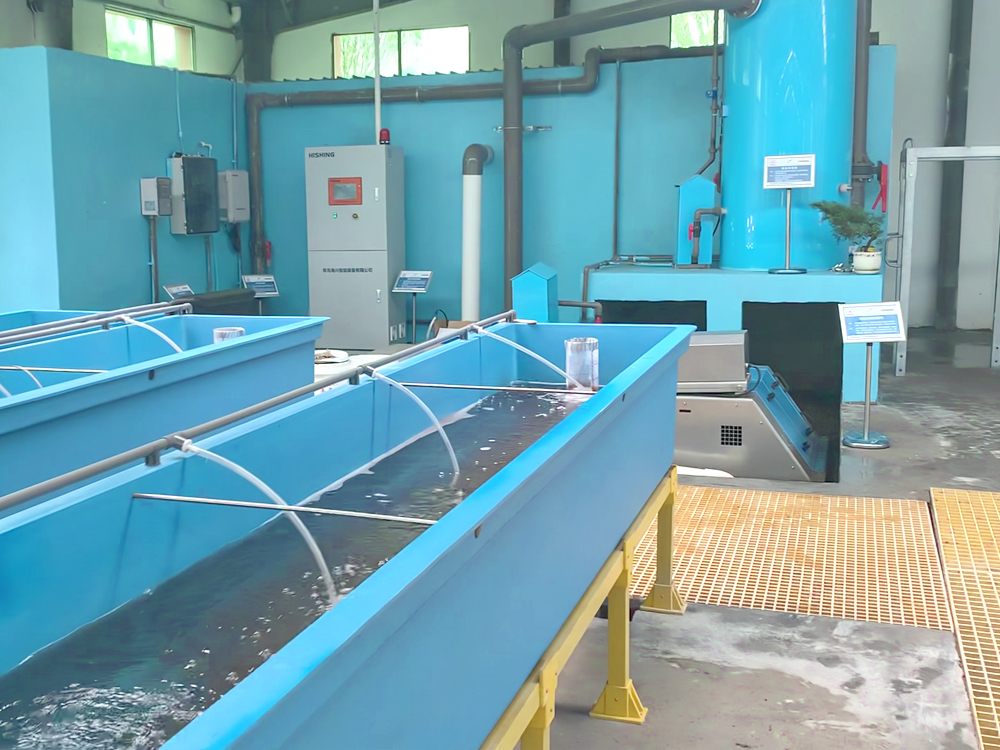 贵州三穗- 淡水鱼类 - 淡水