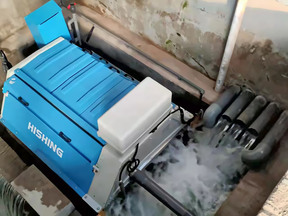 山东日照 - 石斑鱼类 - 海水