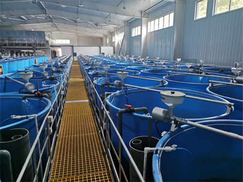 智能化固定式投饵机